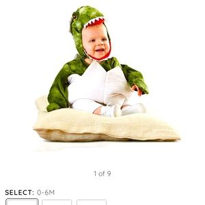 Pottery barn baby dino egg costume.